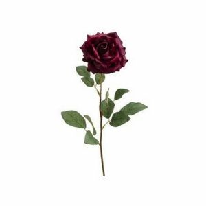 Meet your Posher, Gracie